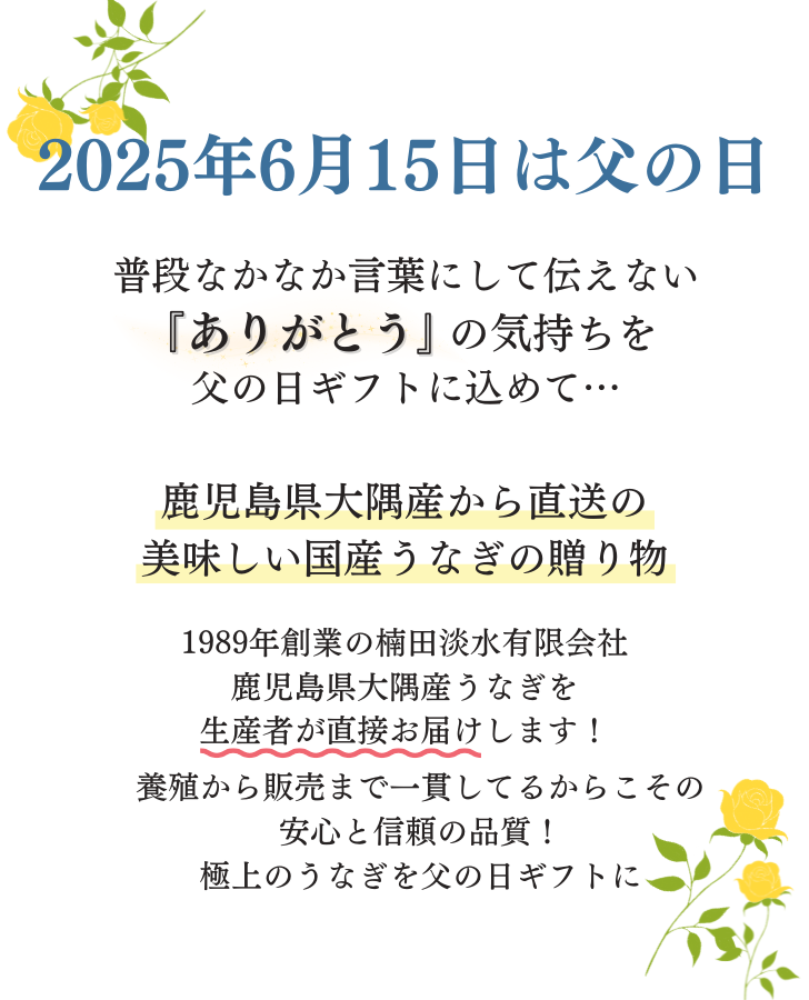 鹿児島県大隅産の贈り物